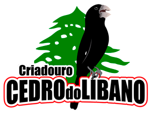 Criadouro Cedro do Líbano - Bicudos - Ribeirão Preto/SP